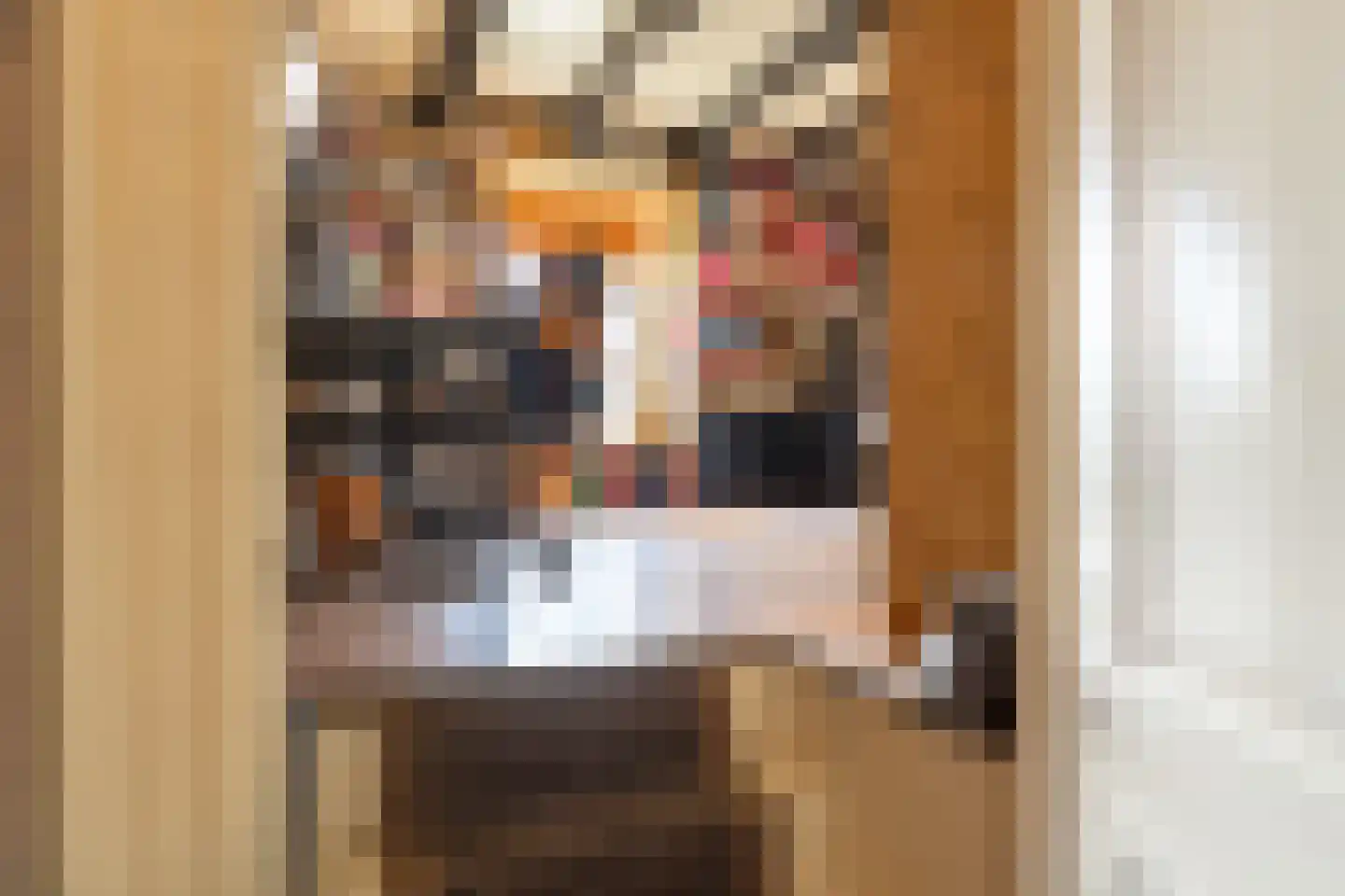 Burgemeester van der Schansstraat 9 Andel thumbnail 17