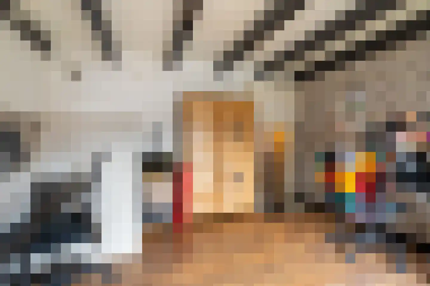 Burgemeester van der Schansstraat 9 Andel thumbnail 18