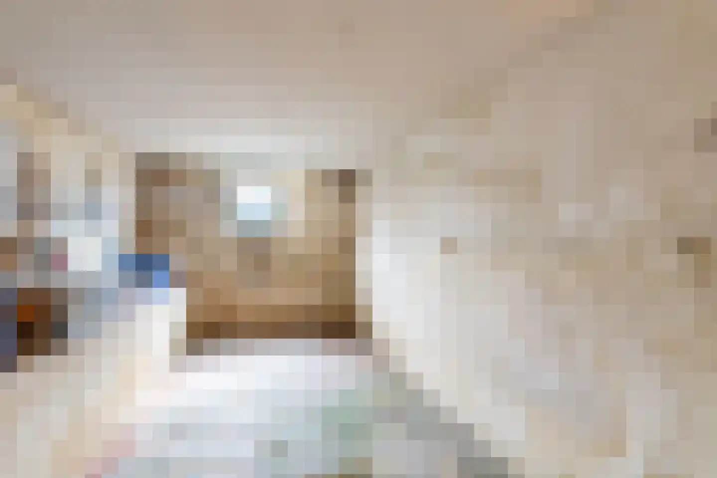 Burgemeester van der Schansstraat 9 Andel thumbnail 20