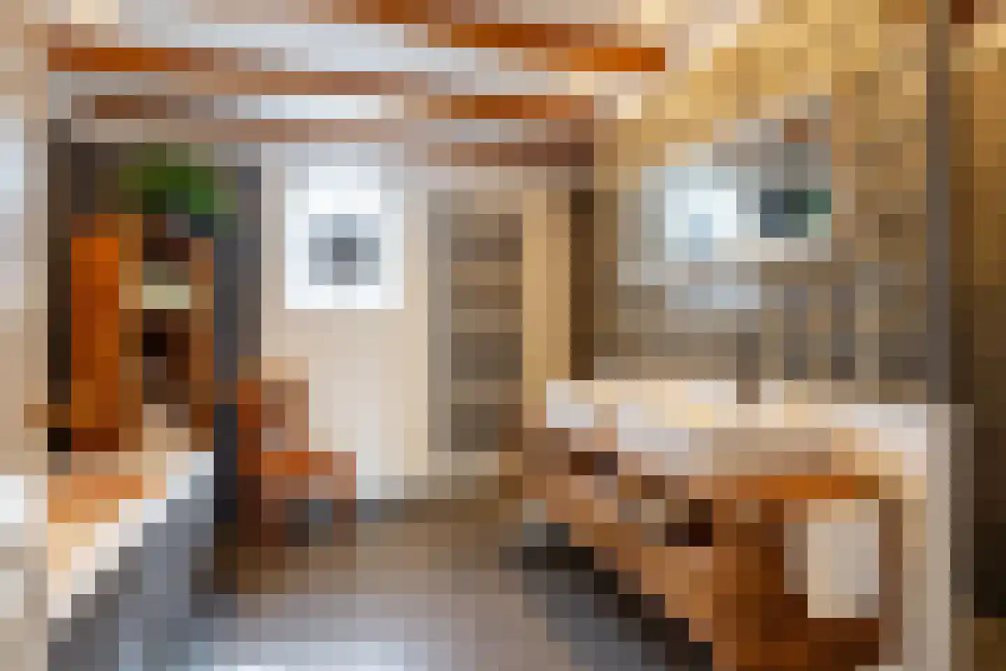 Burgemeester van der Schansstraat 9 Andel thumbnail 24
