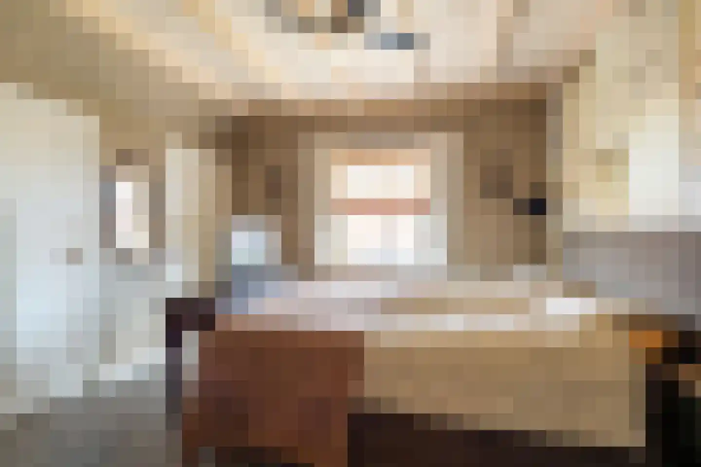Burgemeester van der Schansstraat 9 Andel thumbnail 28