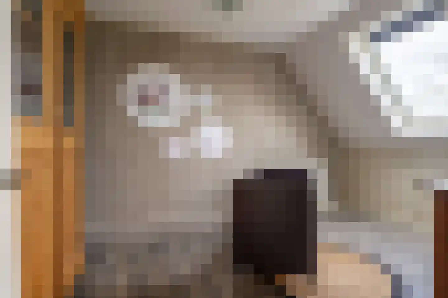 Burgemeester van der Schansstraat 9 Andel thumbnail 33