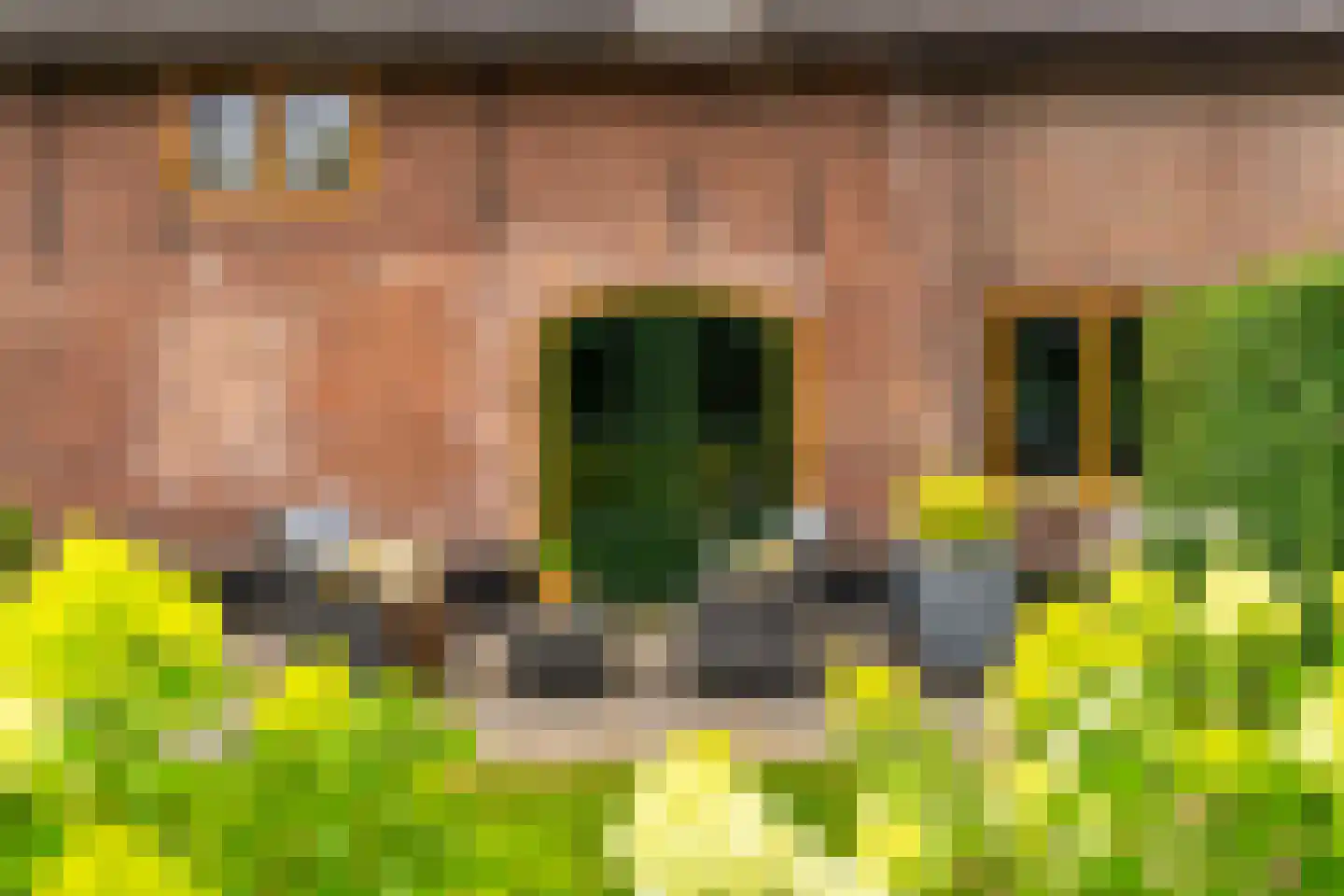 Burgemeester van der Schansstraat 9 Andel thumbnail 38