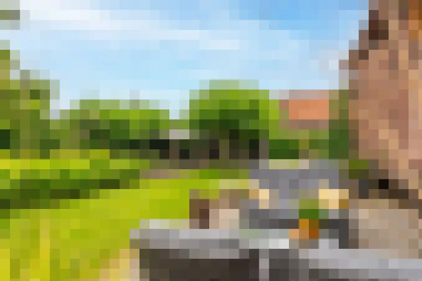 Burgemeester van der Schansstraat 9 Andel thumbnail 39