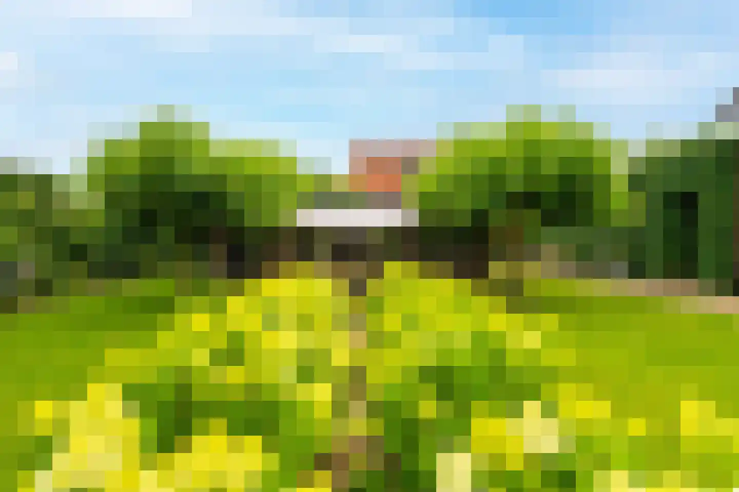 Burgemeester van der Schansstraat 9 Andel thumbnail 40