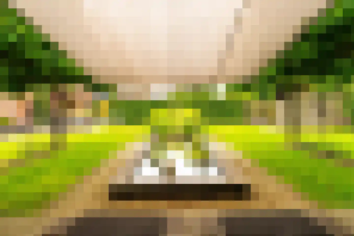 Burgemeester van der Schansstraat 9 Andel thumbnail 42