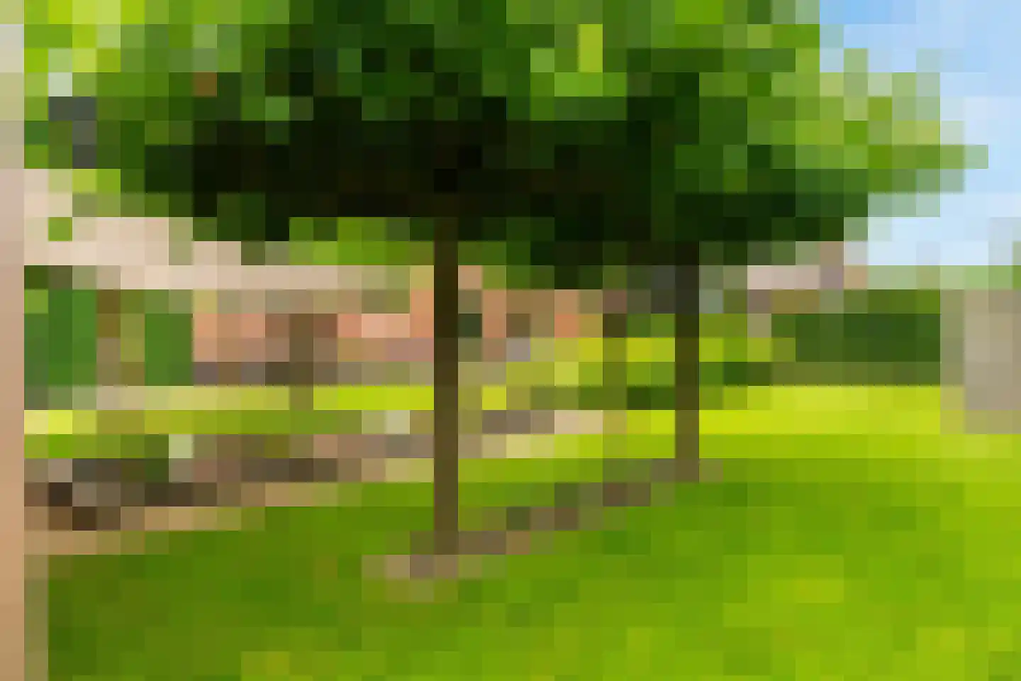 Burgemeester van der Schansstraat 9 Andel thumbnail 44