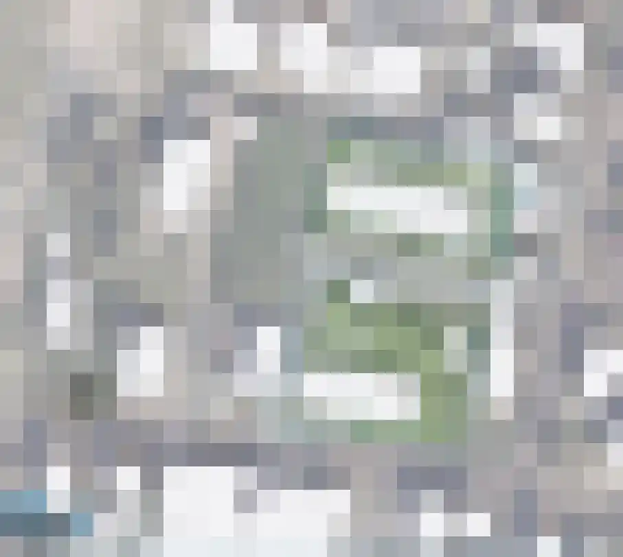 Burgemeester van der Schansstraat 9 Andel thumbnail 48