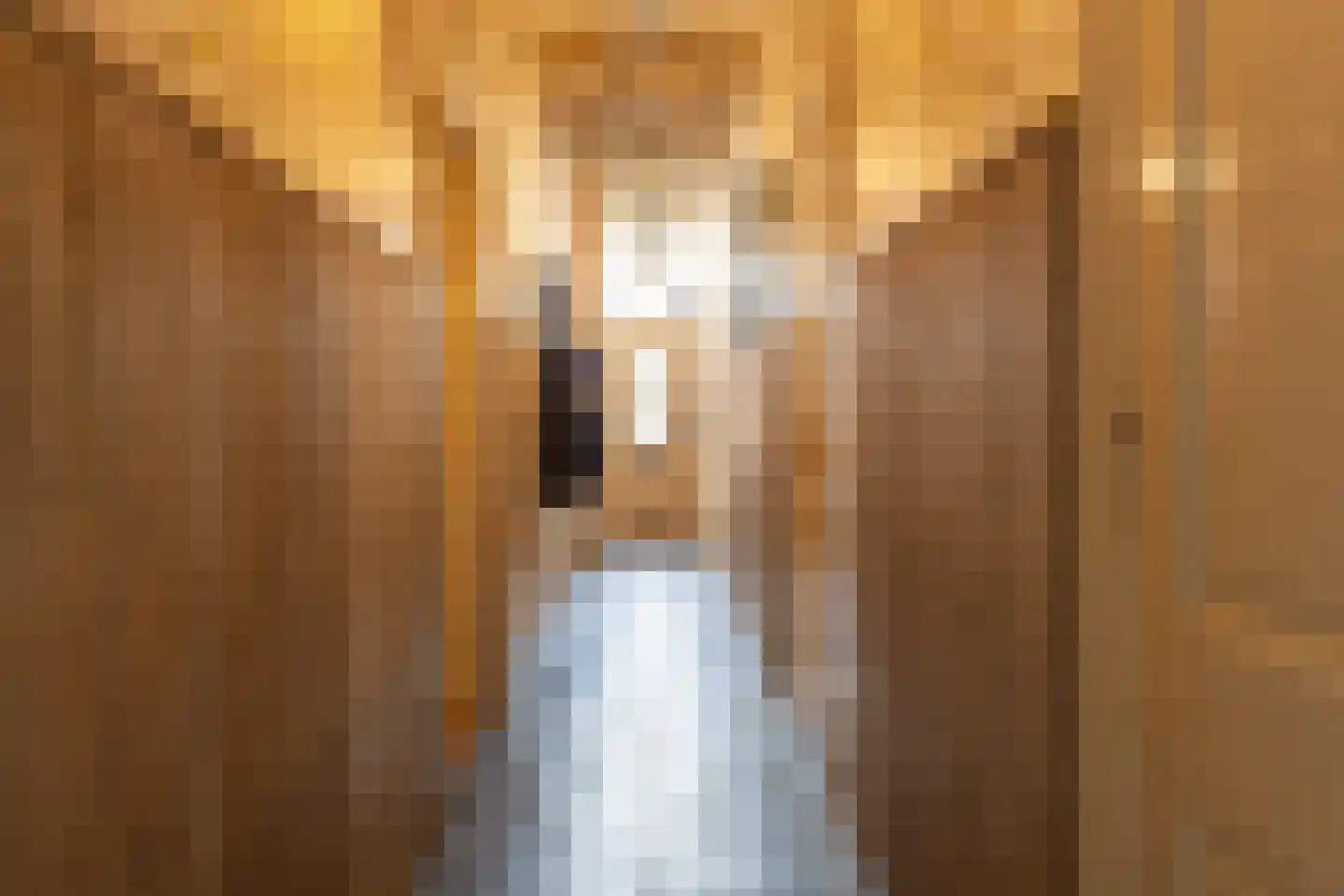 Burgemeester van der Schansstraat 9 Andel thumbnail 5