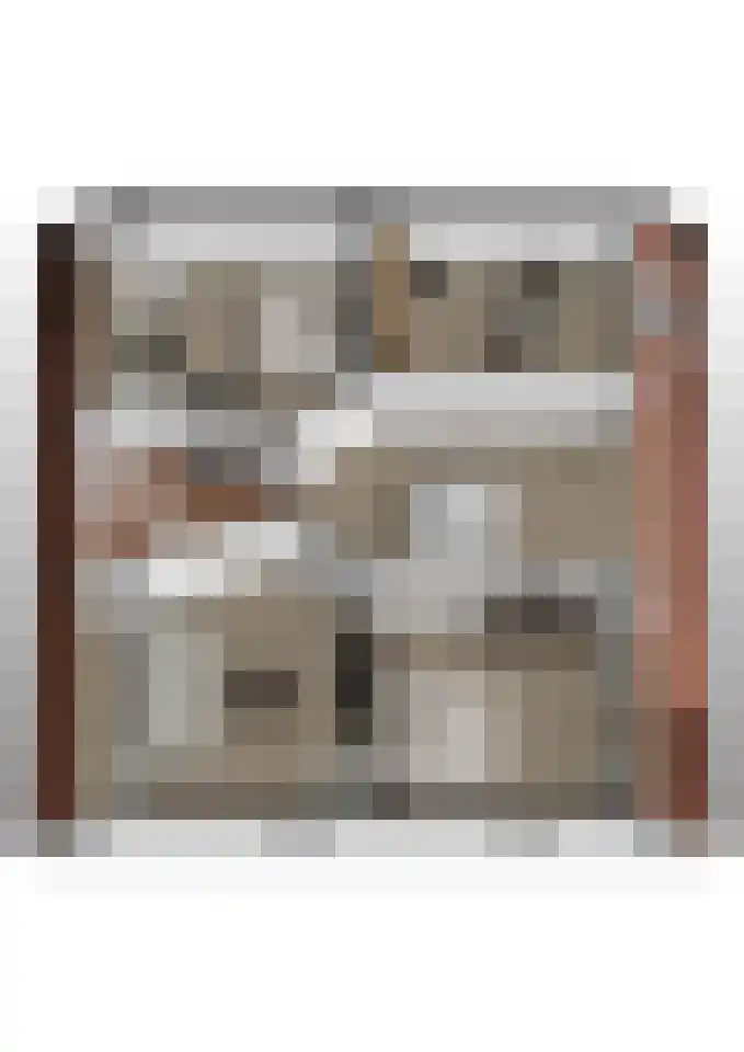Burgemeester van der Schansstraat 9 Andel thumbnail 50