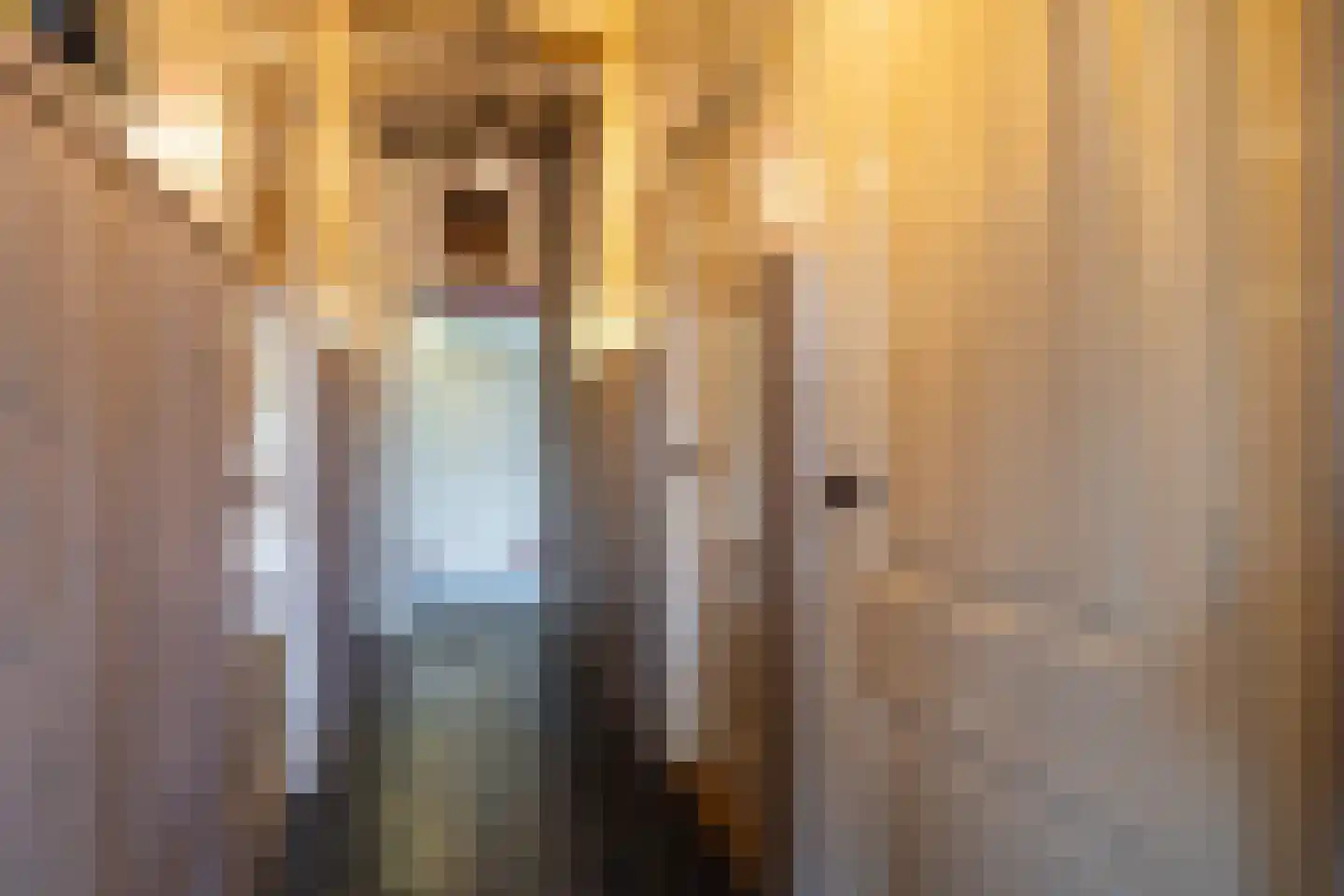 Burgemeester van der Schansstraat 9 Andel thumbnail 6