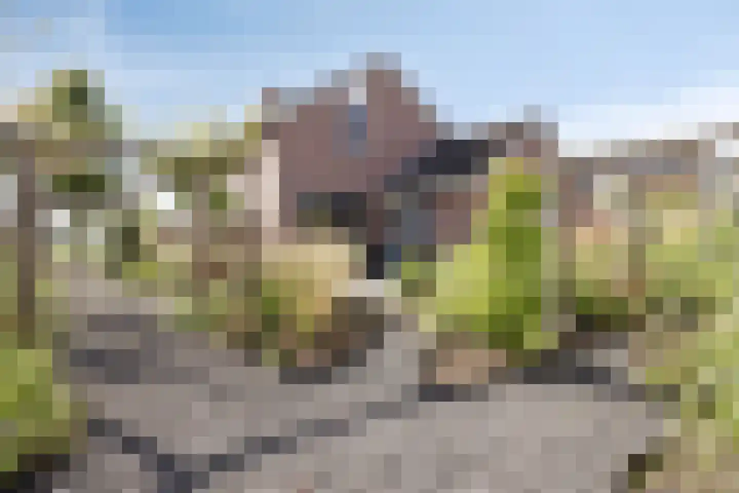 Burgemeester van der Veenweg 14 Ossenzijl thumbnail 26
