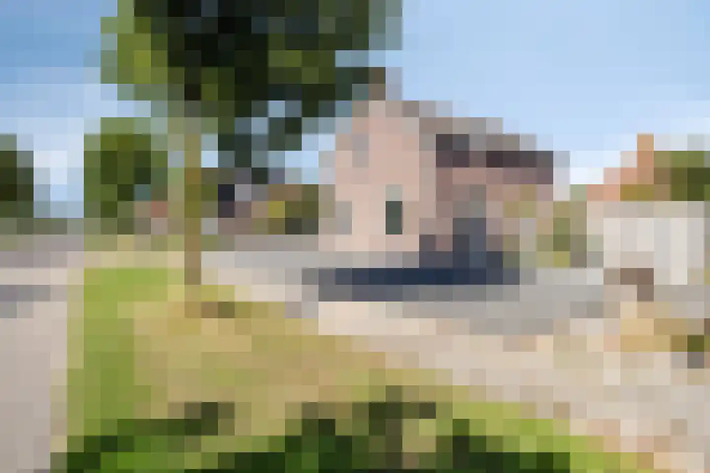 Burgemeester van der Veenweg 14 Ossenzijl thumbnail 34