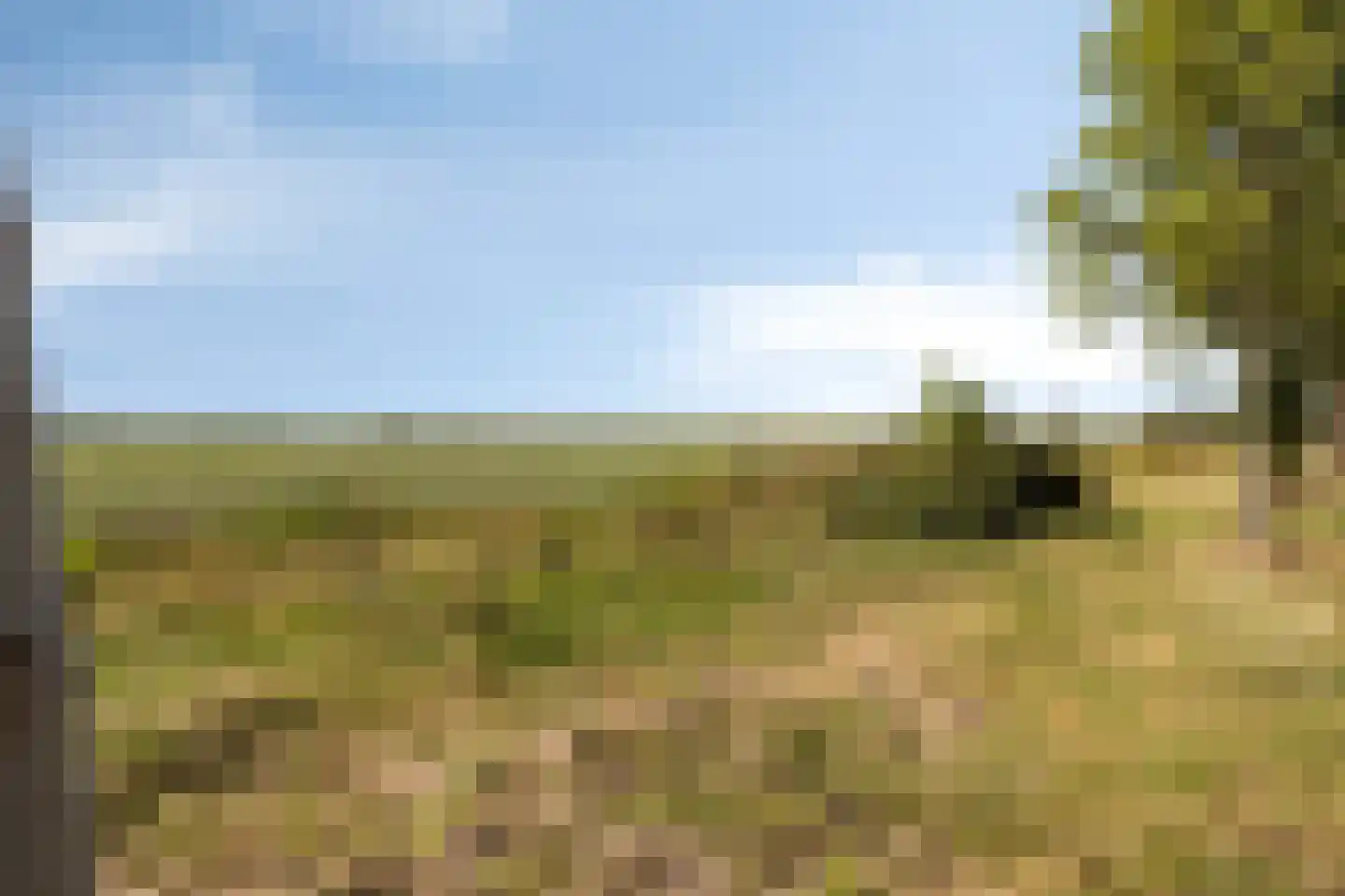 Burgemeester van der Veenweg 14 Ossenzijl thumbnail 35