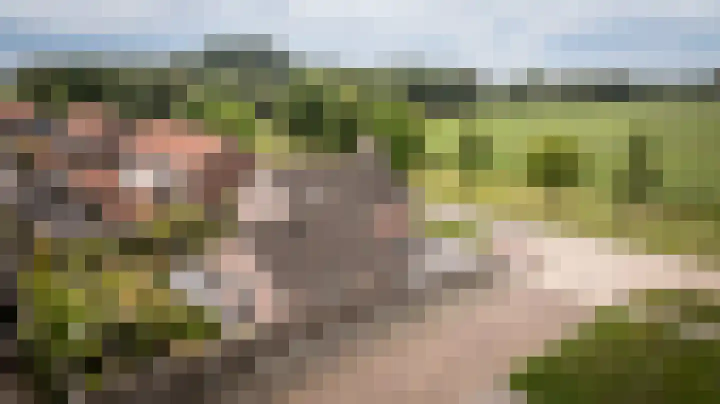 Burgemeester van der Veenweg 14 Ossenzijl thumbnail 37