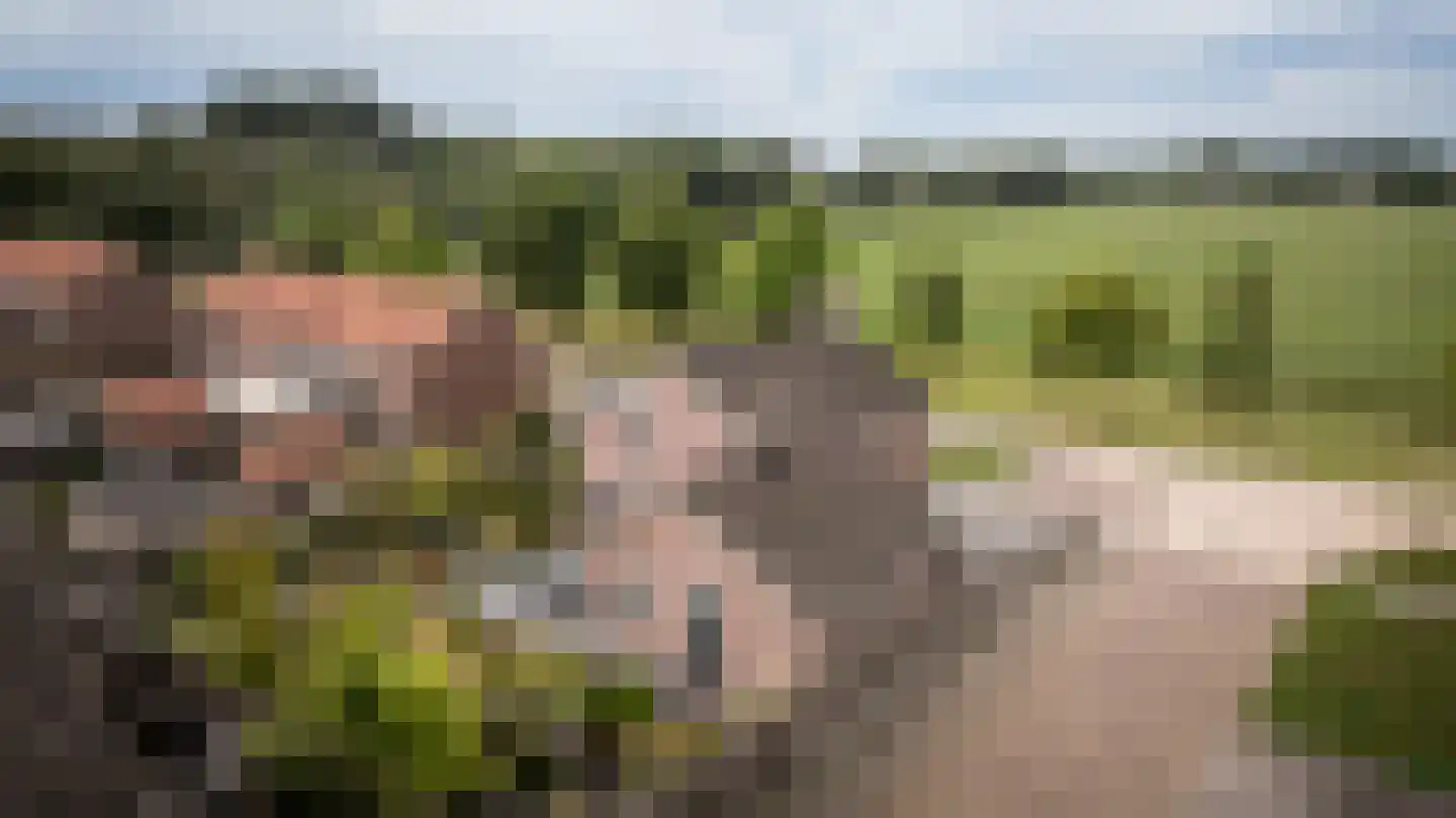 Burgemeester van der Veenweg 14 Ossenzijl thumbnail 38