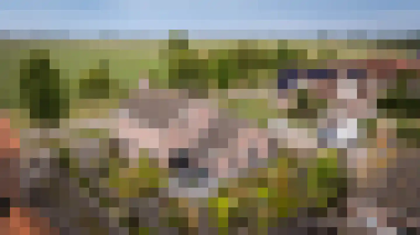 Burgemeester van der Veenweg 14 Ossenzijl thumbnail 39