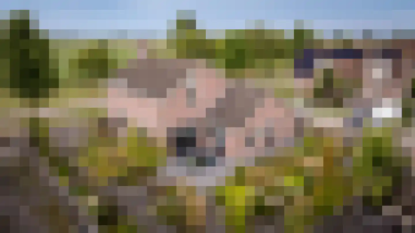 Burgemeester van der Veenweg 14 Ossenzijl thumbnail 40