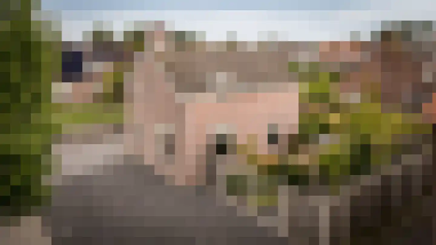 Burgemeester van der Veenweg 14 Ossenzijl thumbnail 41
