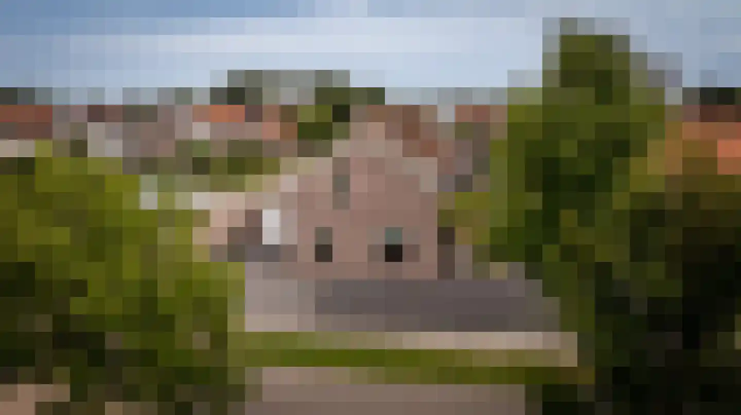 Burgemeester van der Veenweg 14 Ossenzijl thumbnail 42