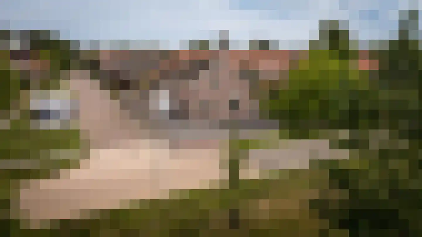 Burgemeester van der Veenweg 14 Ossenzijl thumbnail 43