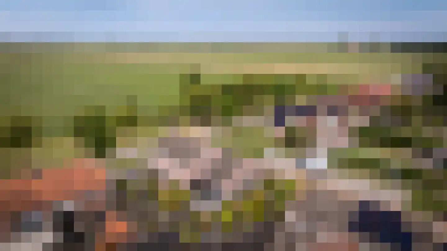 Burgemeester van der Veenweg 14 Ossenzijl thumbnail 44