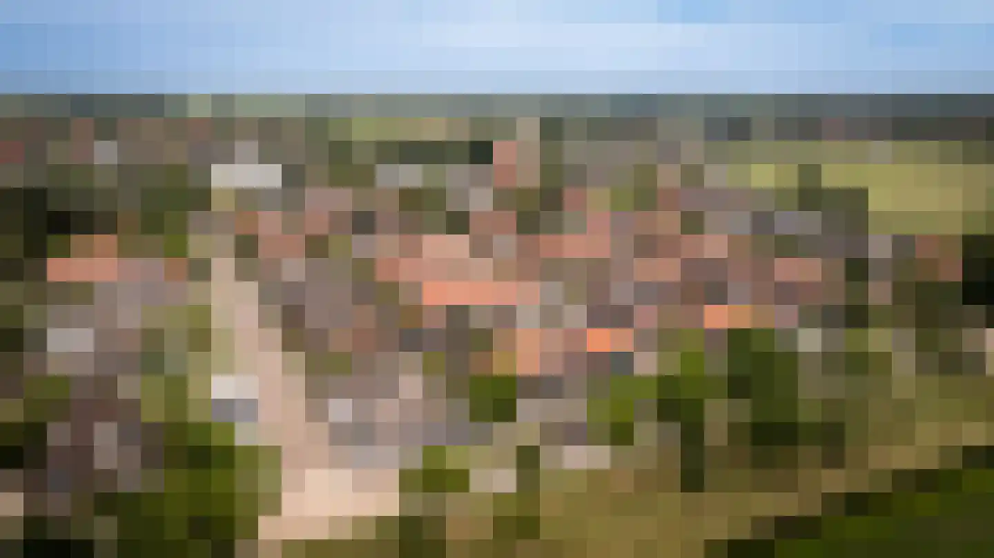 Burgemeester van der Veenweg 14 Ossenzijl thumbnail 45