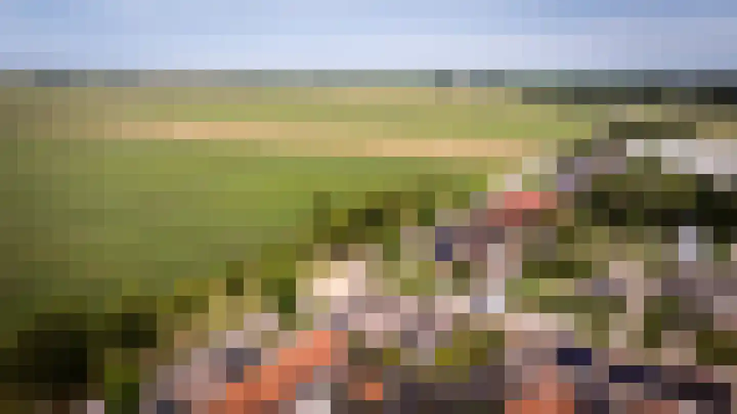 Burgemeester van der Veenweg 14 Ossenzijl thumbnail 47