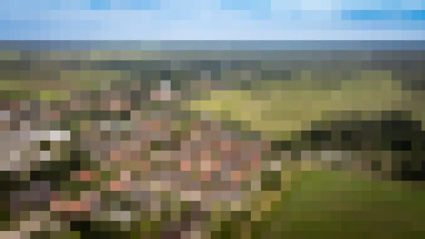 Burgemeester van der Veenweg 14 Ossenzijl thumbnail 49