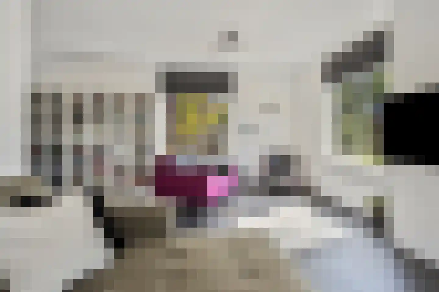 Burgemeester van der Veenweg 14 Ossenzijl thumbnail 6