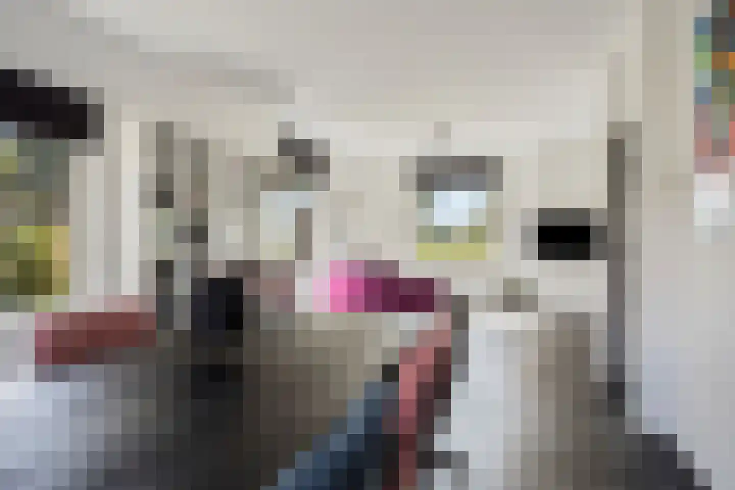 Burgemeester van der Veenweg 14 Ossenzijl thumbnail 8