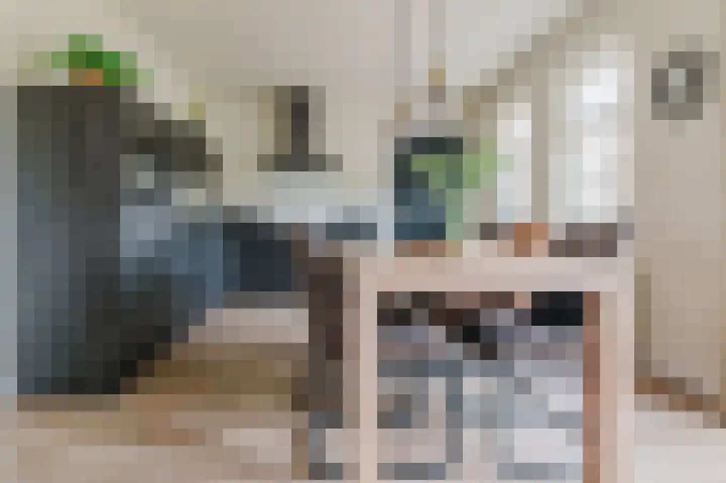 Burgemeester van der Veenweg 18 Ossenzijl thumbnail 18