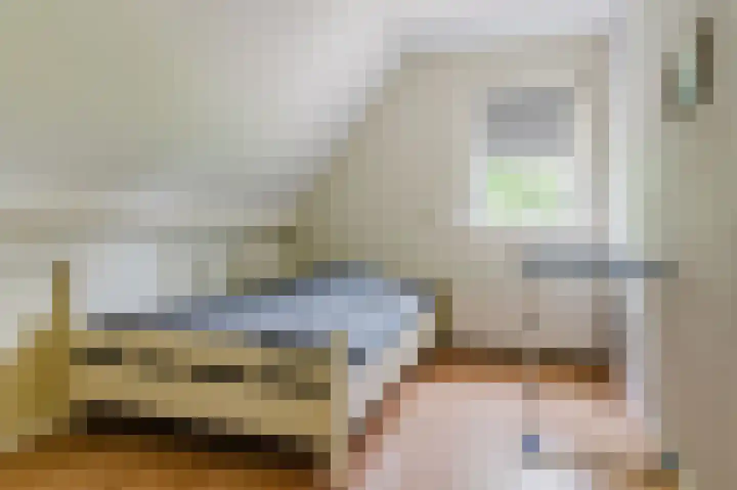 Burgemeester van der Veenweg 18 Ossenzijl thumbnail 35