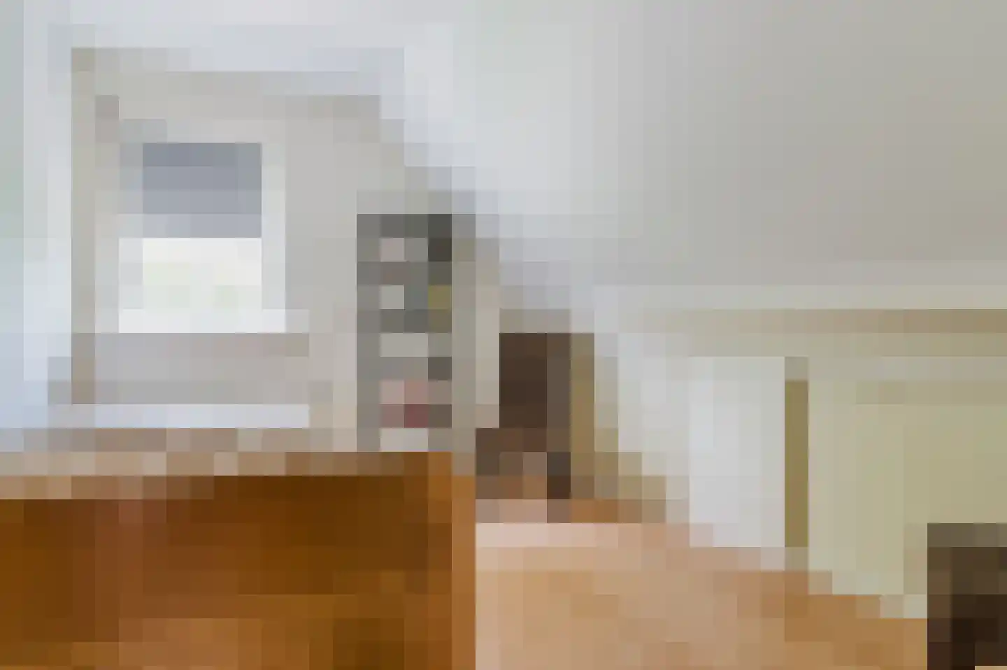 Burgemeester van der Veenweg 18 Ossenzijl thumbnail 36