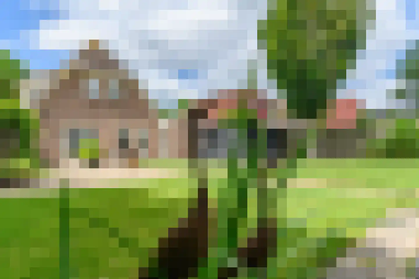 Burgemeester van der Veenweg 18 Ossenzijl thumbnail 44