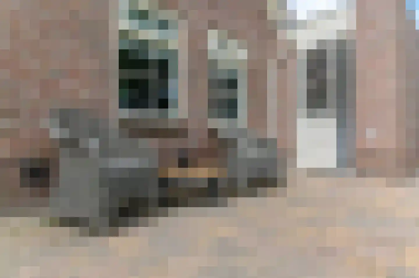 Burgemeester van der Veenweg 18 Ossenzijl thumbnail 46