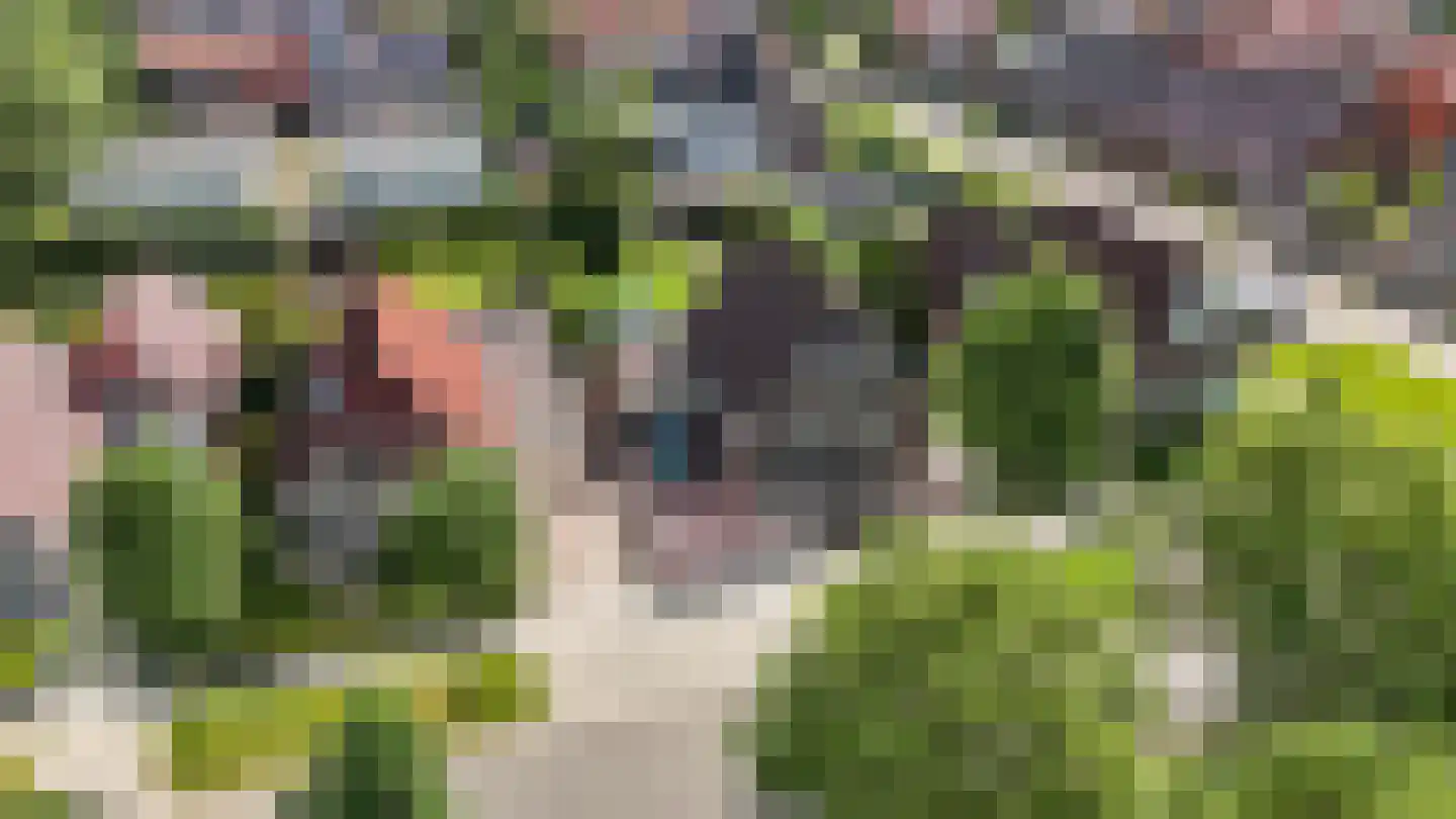 Burgemeester van der Veenweg 18 Ossenzijl thumbnail 51