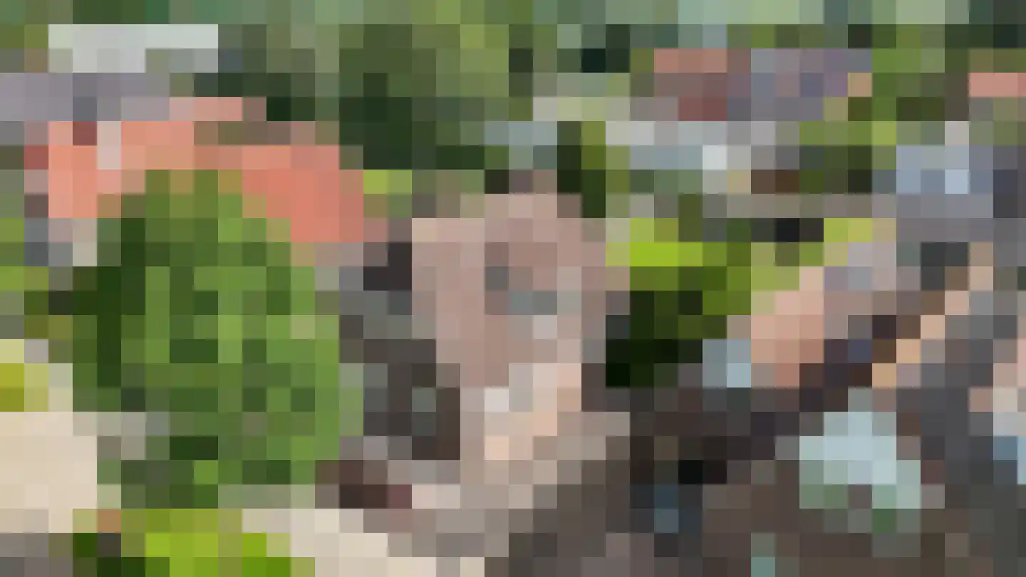 Burgemeester van der Veenweg 18 Ossenzijl thumbnail 52