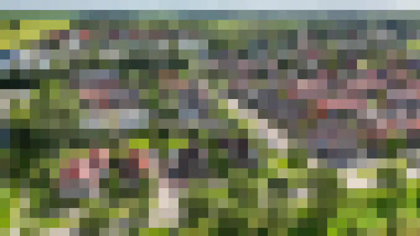Burgemeester van der Veenweg 18 Ossenzijl thumbnail 53