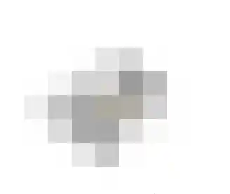 Burgemeester van der Veenweg 18 Ossenzijl thumbnail 66