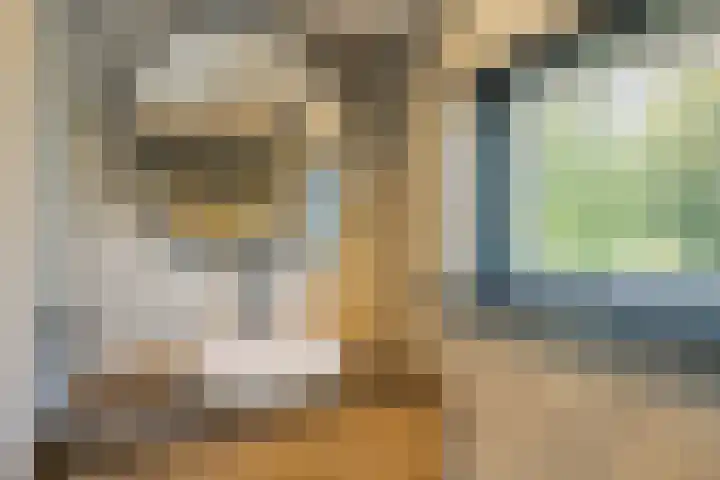 Burgemeester van der Veenweg 8 Ossenzijl thumbnail 21