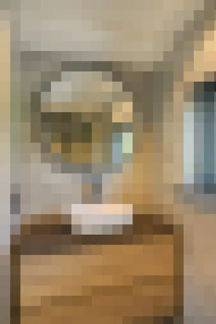 Burgemeester van der Veenweg 8 Ossenzijl thumbnail 23