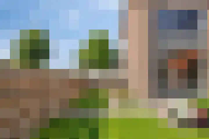 Burgemeester van der Veenweg 8 Ossenzijl thumbnail 32