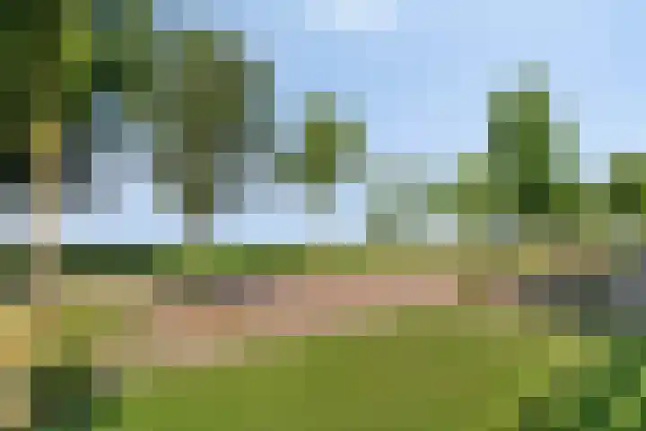 Burgemeester van der Veenweg 8 Ossenzijl thumbnail 35