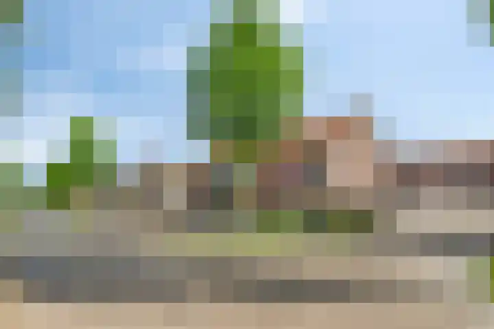Burgemeester van der Veenweg 8 Ossenzijl thumbnail 36