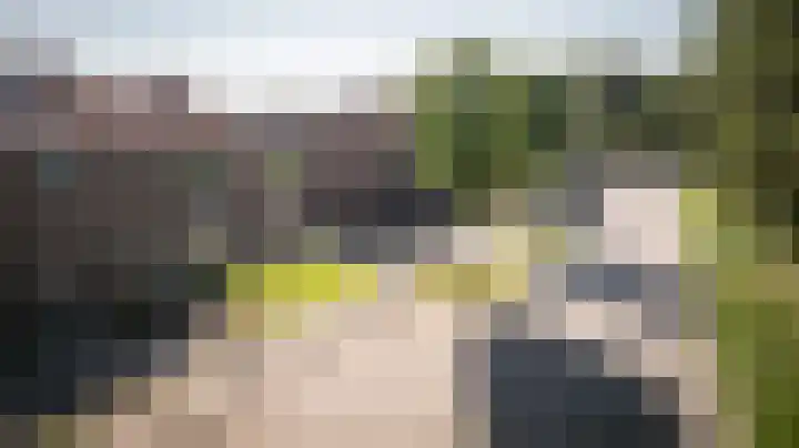 Burgemeester van der Veenweg 8 Ossenzijl thumbnail 39