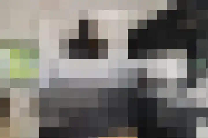 Burgemeester van der Veenweg 8 Ossenzijl thumbnail 7