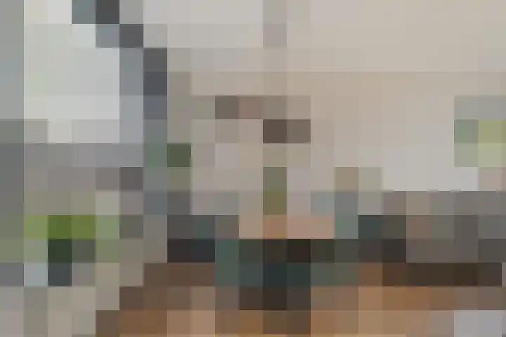 Burgemeester van der Veenweg 8 Ossenzijl thumbnail 8