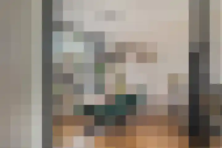Burgemeester van der Veenweg 8 Ossenzijl thumbnail 9