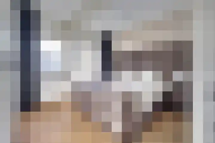 Burgemeester van der Veldestraat 4 Den Haag thumbnail 4